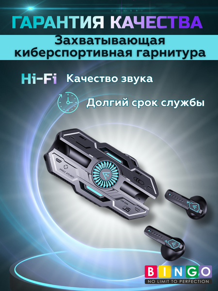 Беспроводные наушники Bingo VT-G20