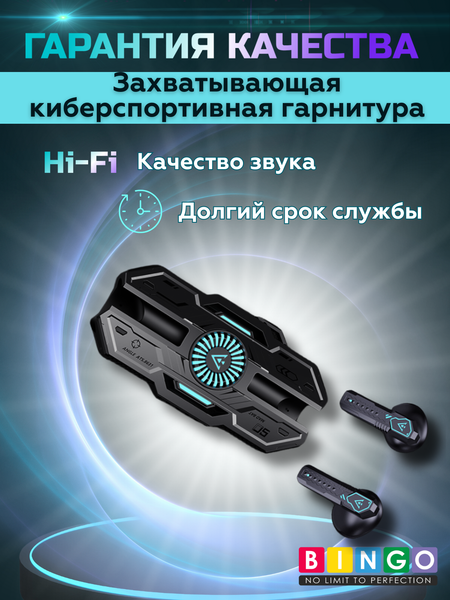 Беспроводные наушники Bingo VT-G20