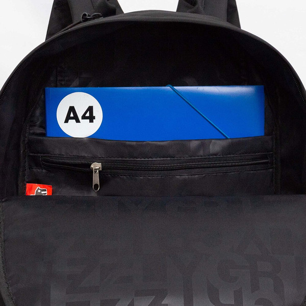 Рюкзак Grizzly RQL-614-1