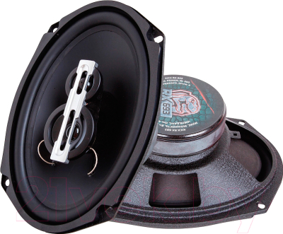 Коаксиальная АС Kicx RX 693