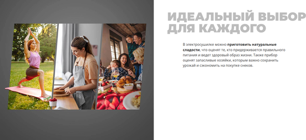 Сушилка для овощей и фруктов Redmond FD1106