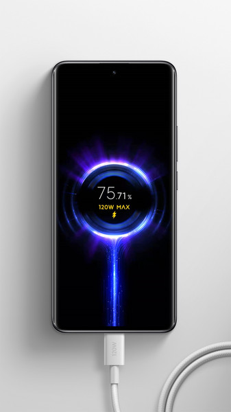 Кабель Xiaomi USB-C to USB-C BHR087AGL / K36350