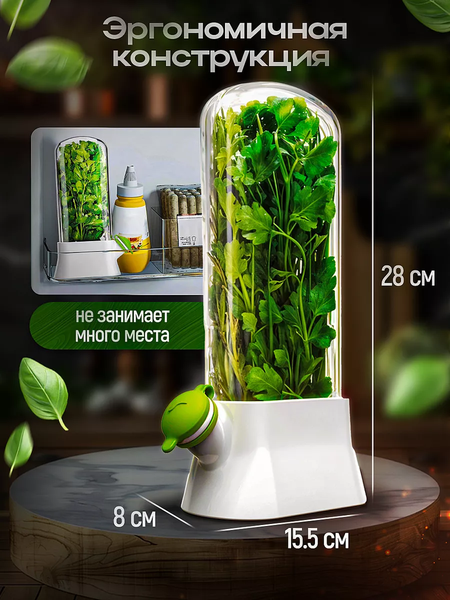 Контейнер Classmark Для зелени X240126-5