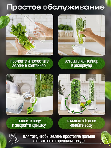 Контейнер Classmark Для зелени X240126-5