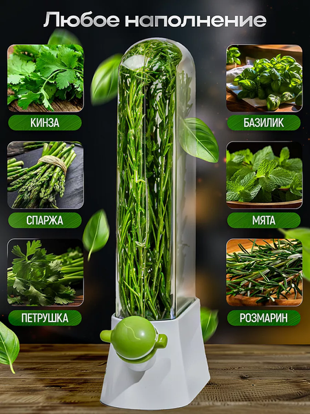 Контейнер Classmark Для зелени X240126-5