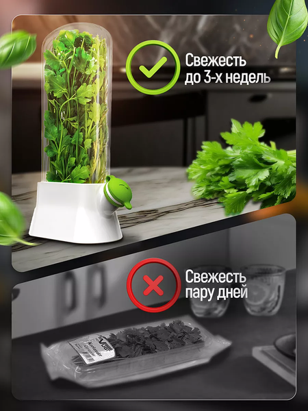 Контейнер Classmark Для зелени X240126-5