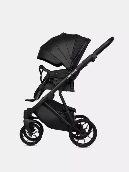 Детская универсальная коляска Riko Montana X Ecco 3 В 1 Basic