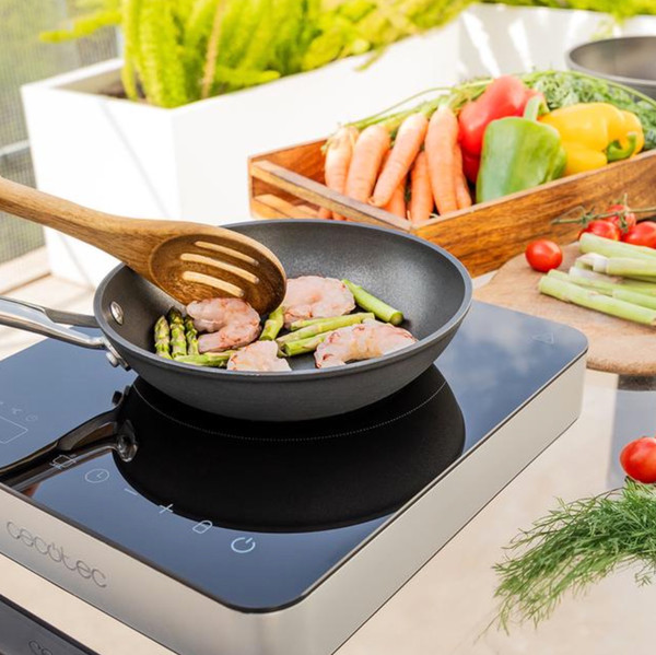 Электрическая настольная плита Cecotec Full Magma Single / 2658