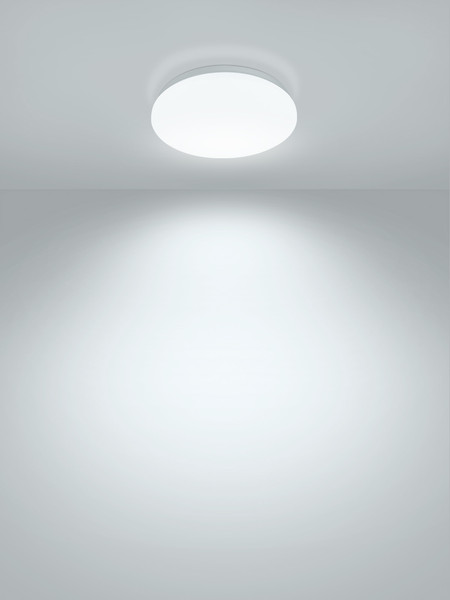 Потолочный светильник TDM Классика SQ0329-9008