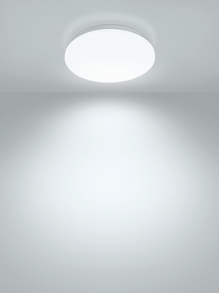 Потолочный светильник TDM Классика SQ0329-9014