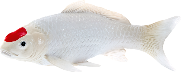 Фигурка коллекционная Konik Карп кои - Танчо AMS3034 - фото