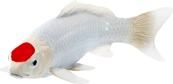 Фигурка коллекционная Konik Карп кои - Танчо AMS3034