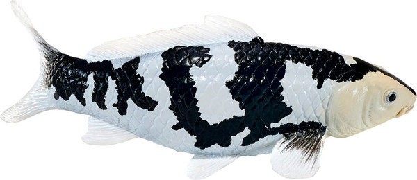 Фигурка коллекционная Konik Карп кои - Сиро Уцури AMS3035