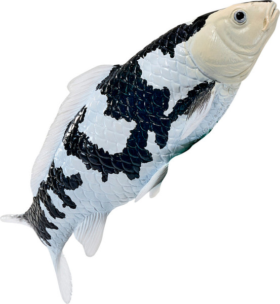 Фигурка коллекционная Konik Карп кои - Сиро Уцури AMS3035