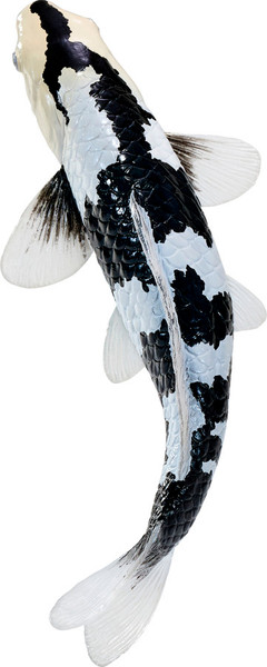 Фигурка коллекционная Konik Карп кои - Сиро Уцури AMS3035