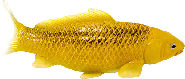 Фигурка коллекционная Konik Карп кои - Кин Мацуба AMS3038