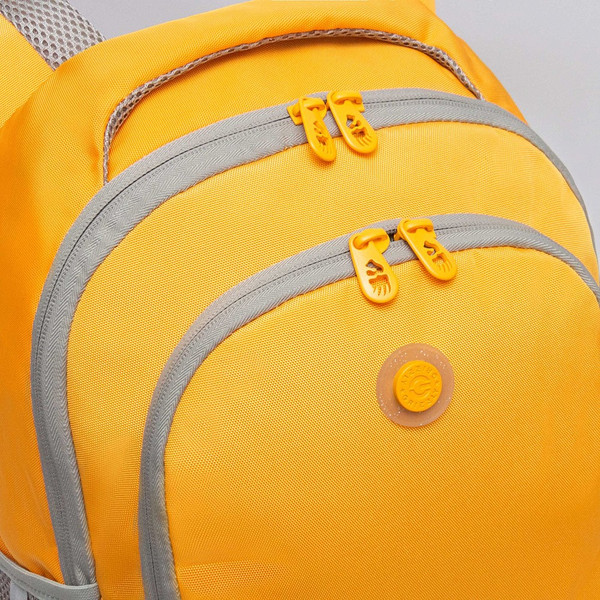 Рюкзак Grizzly RD-543-2