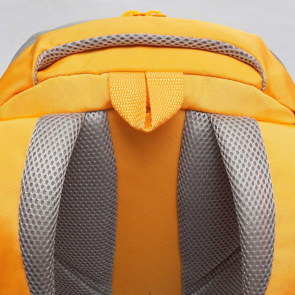 Рюкзак Grizzly RD-543-2