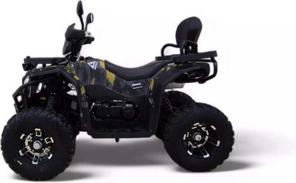 Квадроцикл Motax Grizlik W200 Lux 