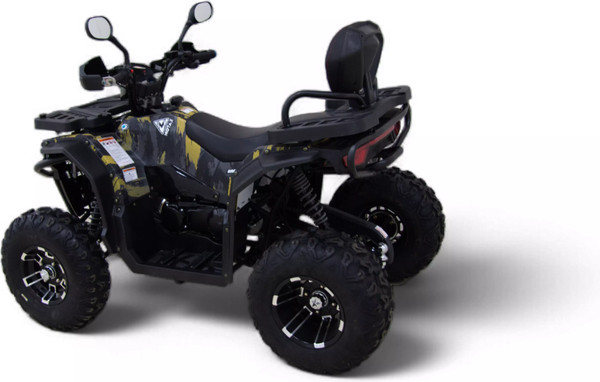 Квадроцикл Motax Grizlik W200 Lux 