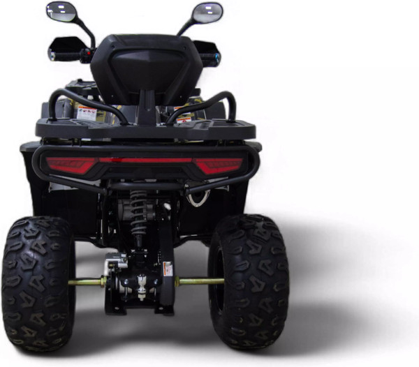 Квадроцикл Motax Grizlik W200 Lux 