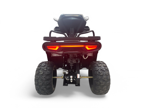 Квадроцикл Motax Grizlik W200 Lux