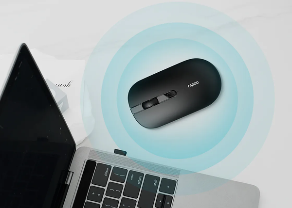 Мышь Rapoo B30 Silent