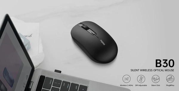 Мышь Rapoo B30 Silent
