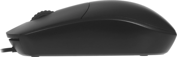 Мышь Rapoo N100C Type-C