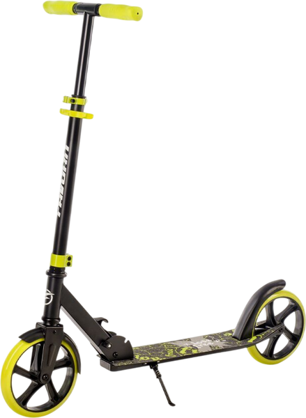 Самокат городской FAVORIT 2031DG-GN - фото