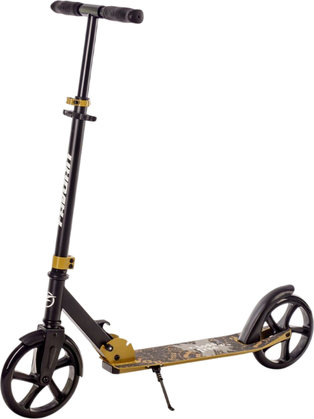 Самокат городской FAVORIT 2031DG-OL - фото