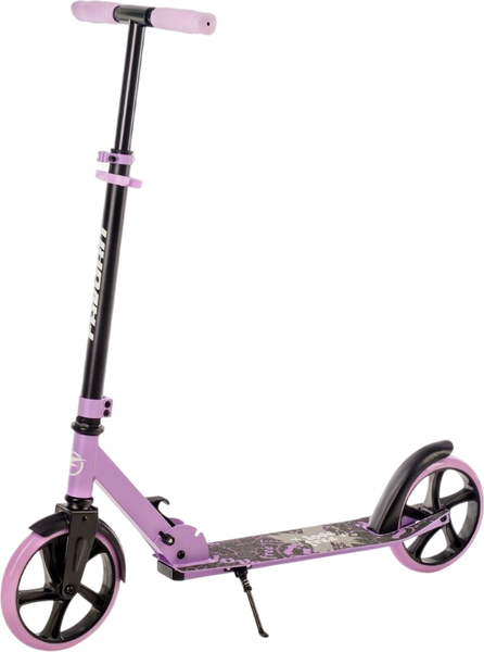 Самокат городской FAVORIT 2031DG-PR - фото