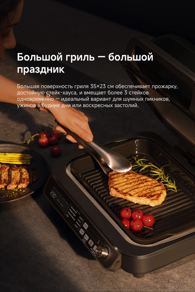 Аэрогриль Trouver IG20 Pro