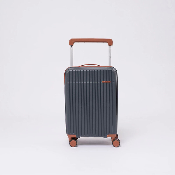 Чемодан на колесах Valigetti 344-8050/2-20GBW - фото