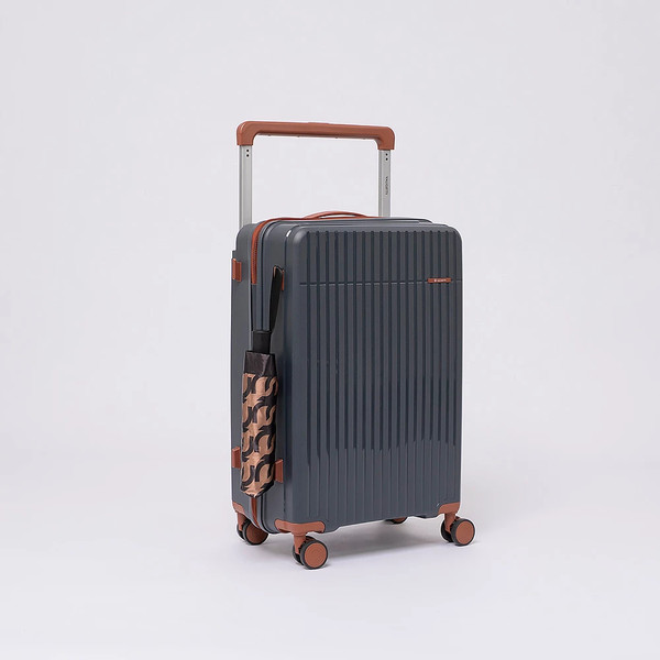 Чемодан на колесах Valigetti 344-8050/2-24GBW