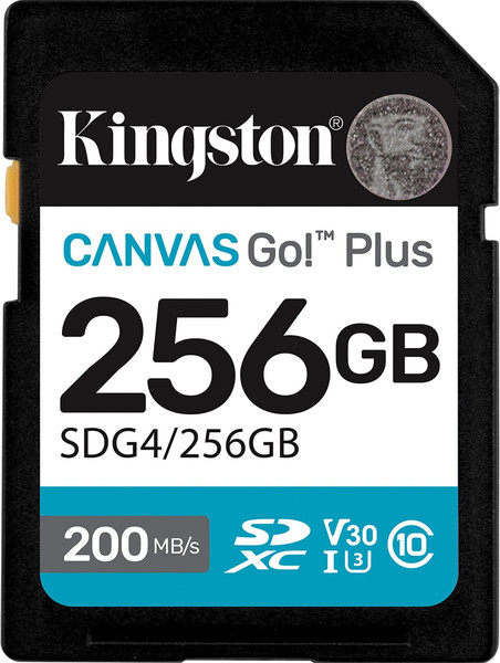 Карта памяти Kingston Canvas Go Plus Gen4 256GB C10 UHS-I U3 V30 (SDG4/256GB) - фото