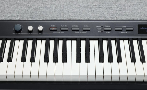 Цифровое фортепиано Kurzweil KA P1 LB