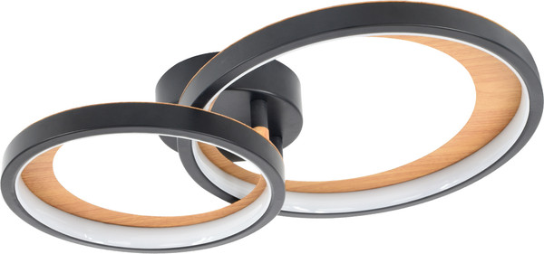 Потолочный светильник ESCADA 10265/2 LED - фото