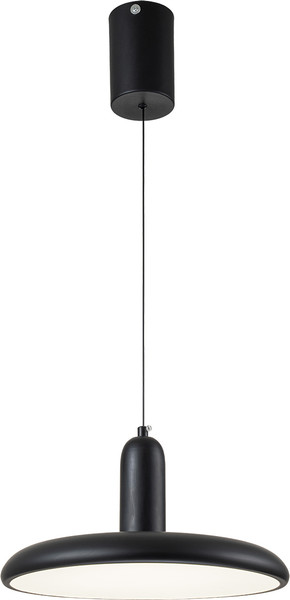 Потолочный светильник ESCADA 10230/1 LED - фото