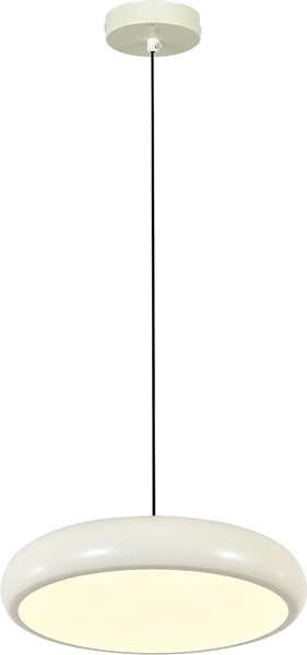 Потолочный светильник ESCADA 10304/1 LED - фото