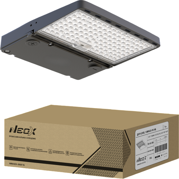 Светильник уличный Neox ДКУ-LEVEL 100PA3С-PC-BL / 4690612062945