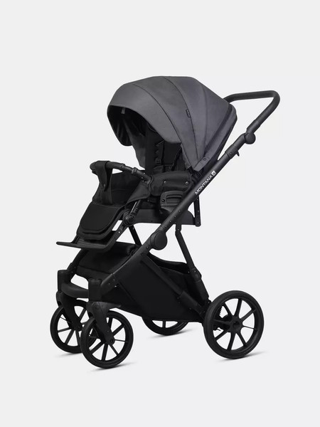 Детская универсальная коляска Riko Montana X 3 В 1