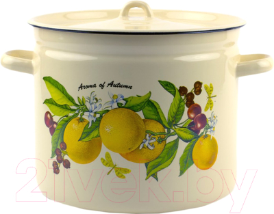 Кастрюля Лысьвенские эмали Фруктовая фантазия С-1621/4Км - фото