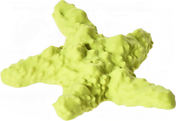 Игрушка для собак Homepet Premium Морская звезда / 89679 - фото