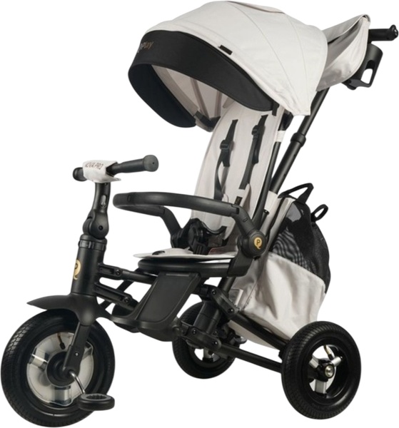 Трехколесный велосипед с ручкой QPlay NovaPlus1BJ - фото