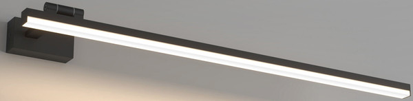 Подсветка для картин и зеркал Elektrostandard Acento 40155/LED - фото