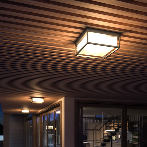 Светильник уличный ST Luce SL9517.502.01