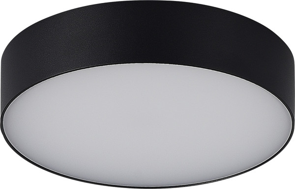 Светильник уличный ST Luce SL9518.402.01 - фото