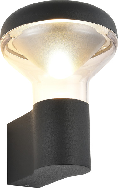 Бра уличное ST Luce SL9541.701.01