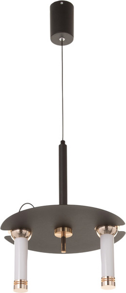 Потолочный светильник BayerLux Найт / 10777099 - фото